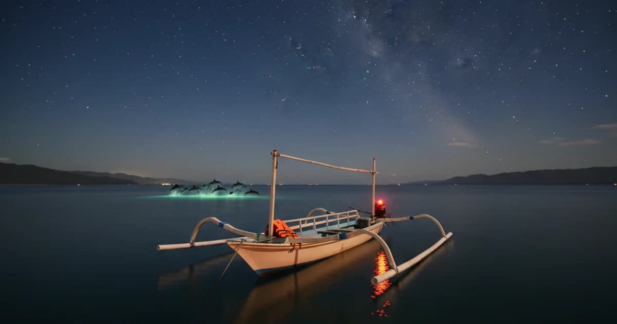 Choosing a Safe Lovina Night Dolphin Tour Operator 2025