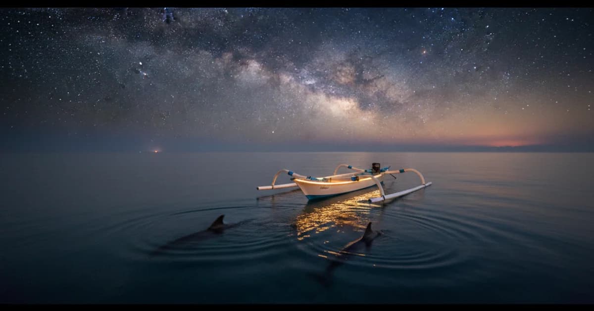 Choosing a Lovina Night Dolphin Tour Operator Safely 2024