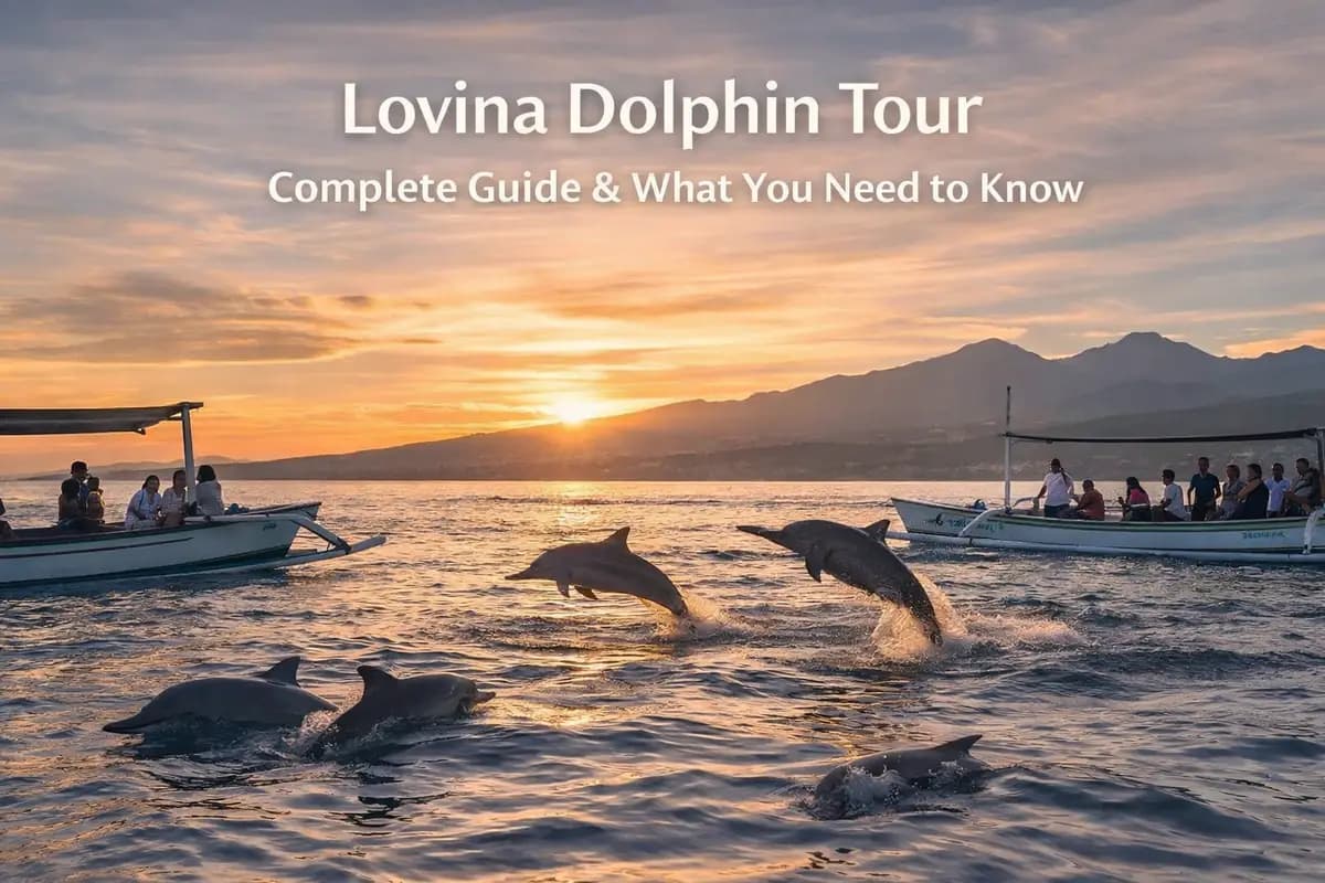 Complete Guide to Lovina Dolphin Tour: Everything You Need to Know