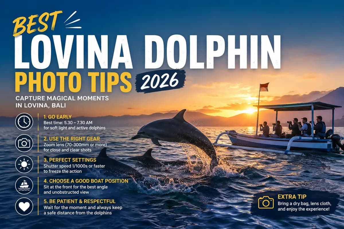 Best Lovina Dolphin Photo Tips 2026