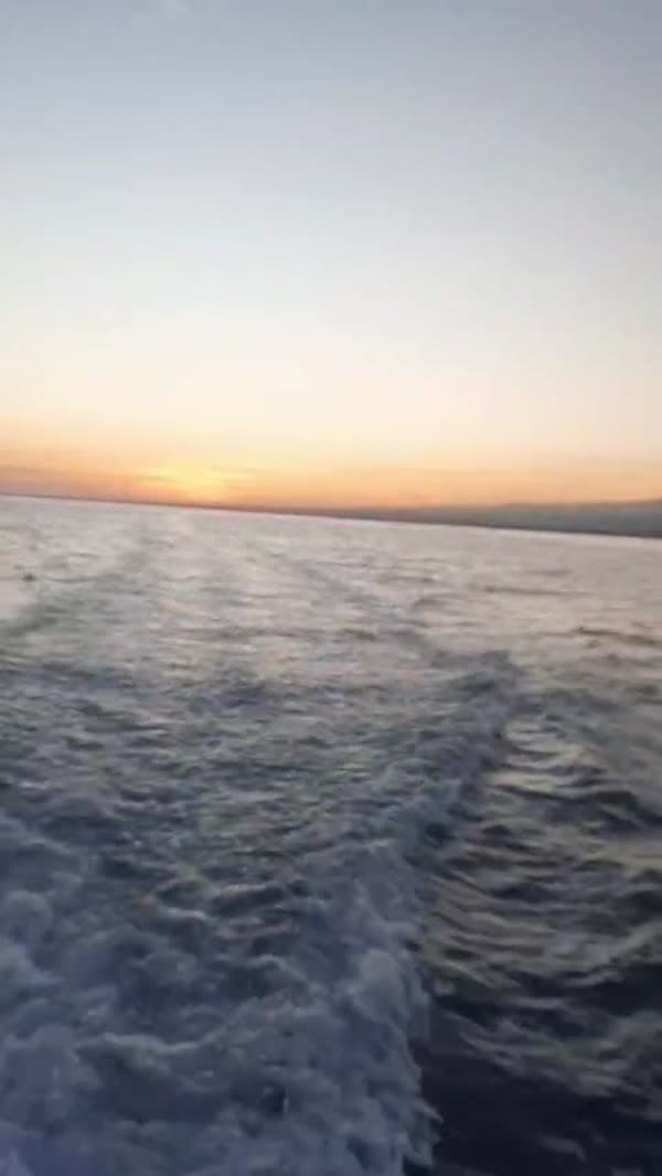 Awix Lovina Dolphin Tour