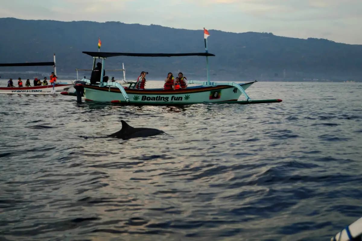 Paket Lumba-Lumba Lovina – Sunrise, Snorkeling & Berenang