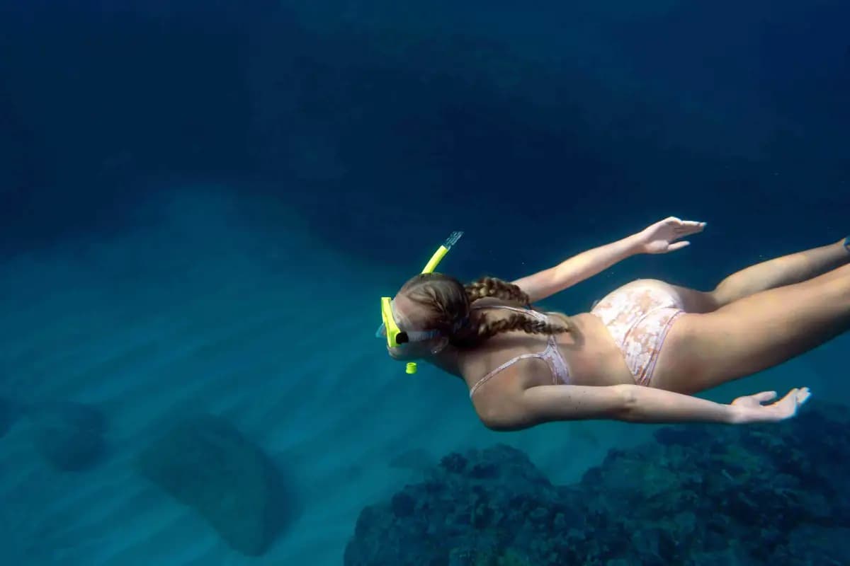 Wisata Lumba-Lumba Lovina Bali – Sunrise & Snorkeling