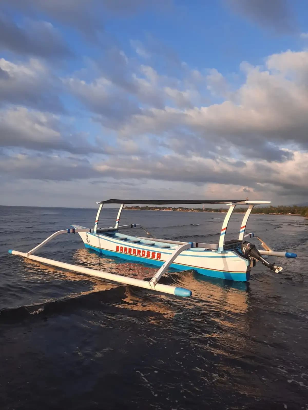 Dolphins at sunrise in Lovina, Bali