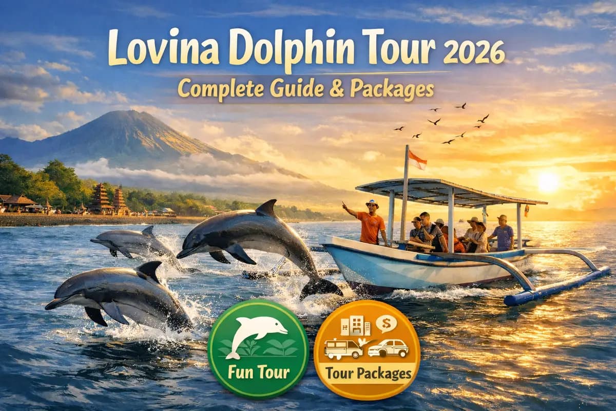 Lovina Dolphin Tour 2026: Complete Guide & Packages