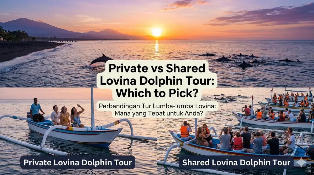Private vs Shared Lovina Dolphin Tour: Which to Pick?